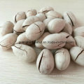 Hot Sale Bleached/Non-Bleached Pecan Nuts Small Walnut